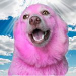 Avatar for Spyxx